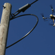 Image for article titled The First Drone Lawsuit Settled For Pennies